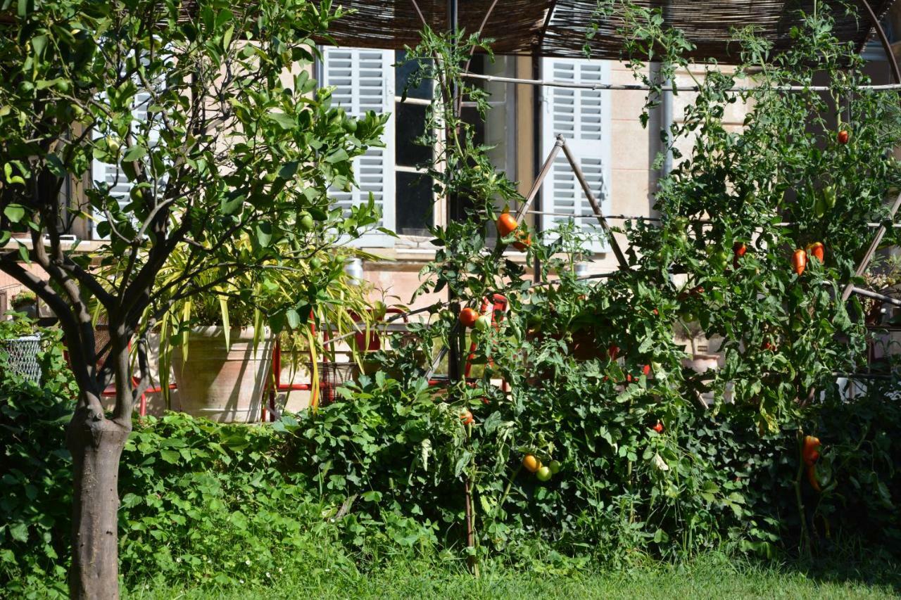 Les Passiflores Грасс Екстер'єр фото
